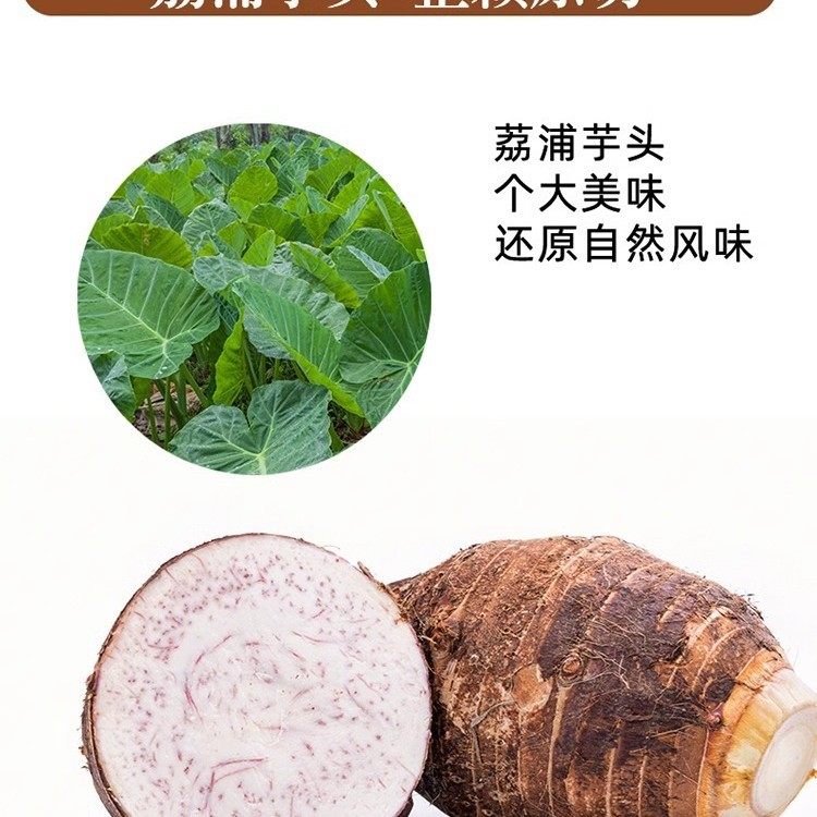 Qiwang Original Cut Taro Chips Crispy Snack Food Salty Taro Chips Snack Sea Salt Flavor Popular Craving-Relief Dried Taro