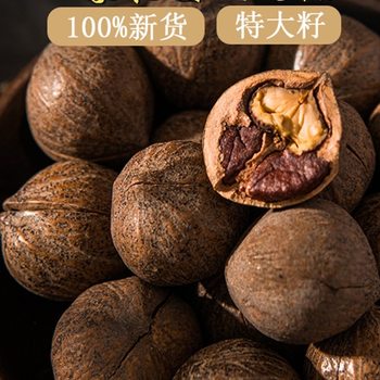 Extra Large Seed Hangzhou Lin'An Non-Hand Peeled Pecan Original Seeds Pepper Salt Flavor Cream Flavor Non-Hand Peeled Net Weight 500 Nuts