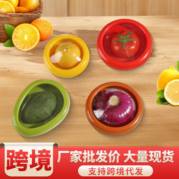 Cross-Border Fruit and Vegetable Crisper Tpu Film Sealed Mini Refrigerator Storage Box Portable Sealed Cross-Border Dropshipping