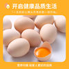 Can Be Eaten Raw, Selenium-Rich, Anti-Microbial-Free Fresh Eggs, Non-Local Free-Range Wood-Fired Eggs, 30 Probiotic Cordyceps Eggs, One Piece for Drop Shipping
