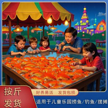 Red Grass Carp by Weight Specifications Chart | Fish Is Beautiful and Transported Live | Ornamental Fish of the Carp Family Originating from Shanghai