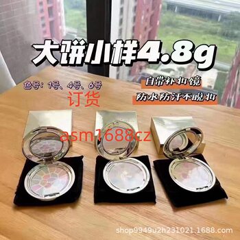 Big Brand Makeup Yalijia E Compact Powder Sample 4.8g High Quality Mini Version Group Purchase 1 # 4 # 6 #