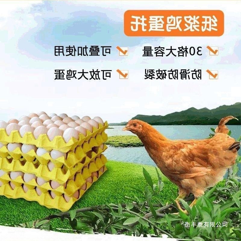 Paper Pulp Egg Tray Manufacturer Direct Sales Tray Packaging Box Paper Tray Kindergarten Handmade Transportation Egg Tray
