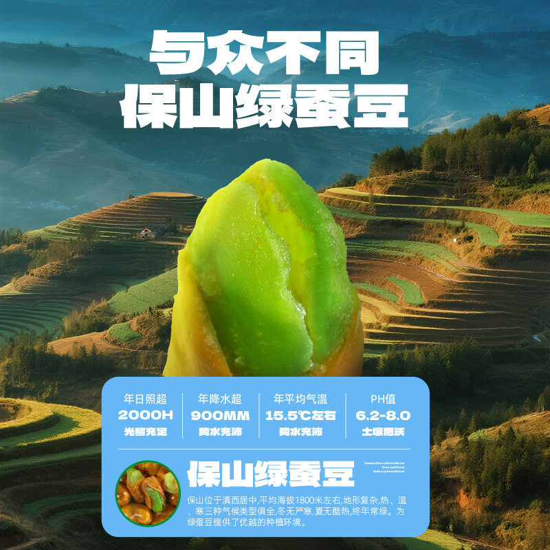 Yunnan Erwa Green Broad Beans from Baoshan, Yunnan - Crispy Whole Original Spicy Snack to Satisfy Cravings