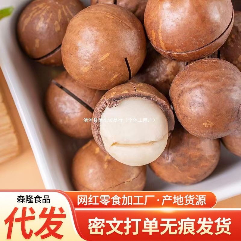 Macadamia Nuts Hand-Peeled Bagged Large Nuts Creamy Flavor Wholesale 500g Thin-Skinned Walnuts