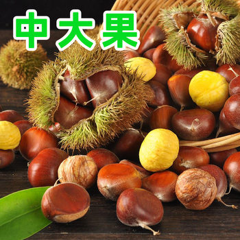 [Purple Jade] 2023 organic Dabie Mountain chestnut raw fresh pick large grain oil chestnut small hair chestnut raw millet