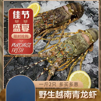 Green Lobster Wild Seafood Lobster Live Frozen Imported Boston Lobster Frozen Green Lobster Bread Crab Abalone