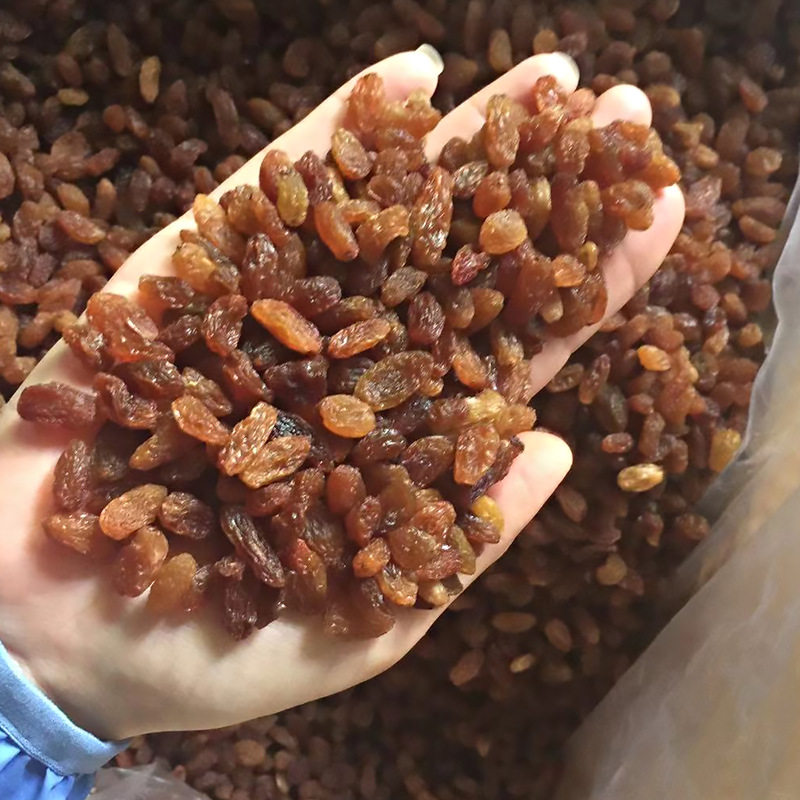 Red Raisins Bulk Wholesale Pastry Nut Baking Raw Materials Dried Fruit Candied Xinjiang Turpan Raisins