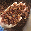 Red Raisins Bulk Wholesale Pastry Nut Baking Raw Materials Dried Fruit Candied Xinjiang Turpan Raisins