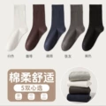 5 Pairs【White + Coffee + Navy Blue + Iron Gray + Black】
