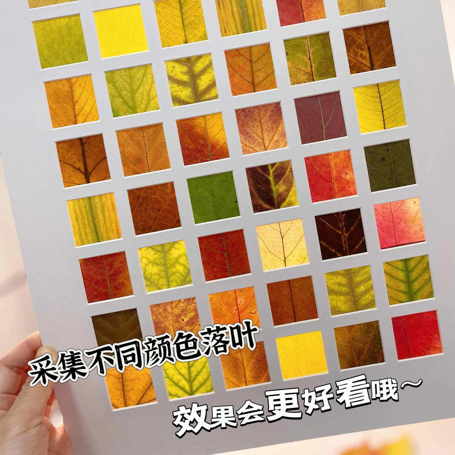 Fall Leaf Picture Frame 24 Grid 25 Grid 16 Grid 48 Grid Photo Frame DIY Hand-Painted Simple Drawing Frame Leaf Decoration
