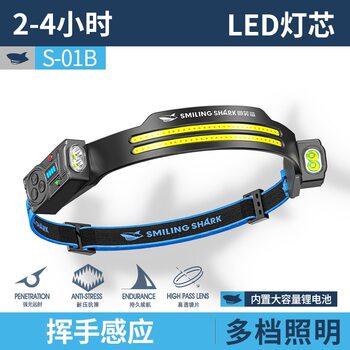 Cross-Border New Outdoor Lighting Ultra-Bright Headlight Cob Floodlight Led Head-Mounted Work Light Charging Long-Lasting Life Sensor