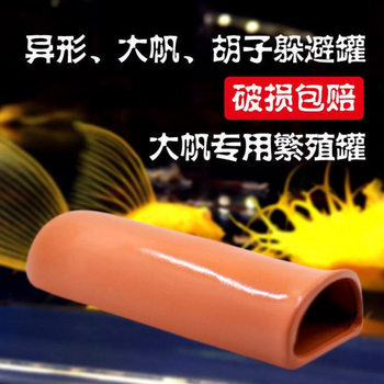 Gold Sailfin Betta Breeding Tank with Extended Hiding House for Panda Mousefish and Guppy Breeding Terracotta Tank