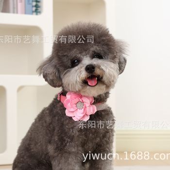 Cross-Border Dog Collar Soft Traction Dog Collar Shiny Rhinestone Adjustable Colorful Dog Walking Pet Dog Collar Wholesale