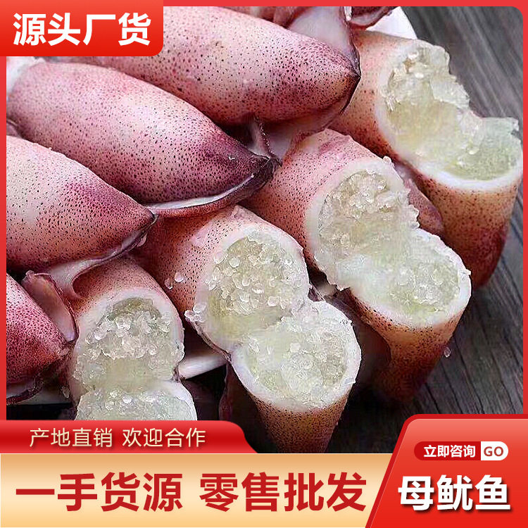 Female Squid Wholesale Free Shipping with Seed Mother Tube Squid Frozen Pen Tube Paste Squid Seafood Aquatic Products Restaurant Hotel Supply
