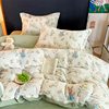 Winter Cartoon Milk Velvet Bed Four-Piece Set Thickeneded Coral Flannel Quilt Cover Double-Sided Velvet Bed Bed Sheets Three-Piece Set