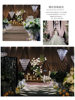 Wedding Background Gauze Stage Curtain Curtain Wedding Base Cloth Milk Silk Elastic Curtain Live Broadcast Scene Layout
