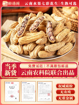 New Yunnan Colorful Peanuts Sun-Dried Shelled Raw and Cooked Colorful Peanuts Colorful Wild Peanuts Planting Wholesale