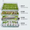 For Foreign Trade Only - Storage Box, Freezer Box, Refrigerator Dumpling Box, Food-Grade Box, Household Dumpling Box, Sealed and Portable