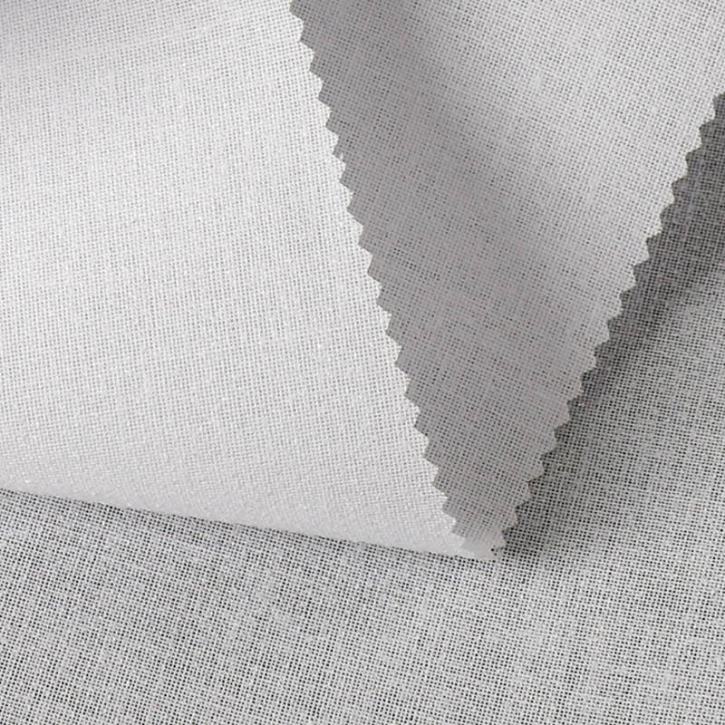 Zhejiang Changxing Interlining Suit Environmental Resin Hard Clothing Lining Special Textile Interlining