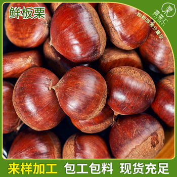 chestnut raw fresh 2024 xiashu yanshan fresh chestnut commercial sugar fried chestnut ice chestnut raw materials such as chestnut