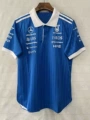 2026 mercedes blue polo