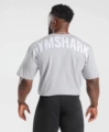 light gray white logo