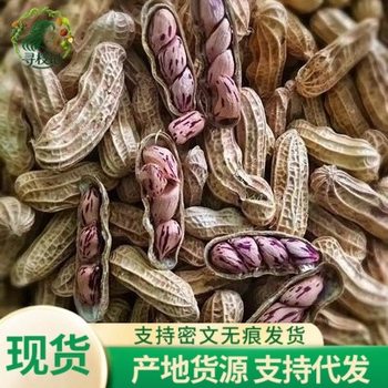 Yunnan Colorful Peanuts, Raw Peanuts, Yunnan Peanuts, Fruity and Crispy Shelled Nuts Specialty