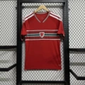 26-27 wales home