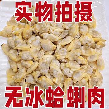 Fresh Extra-Large Clam Meat Jerky, Frozen Sand-Free Clam Meat, Fresh Ready-To-Eat Clam Meat, Clam Meat Without Ice Coating, Commercial