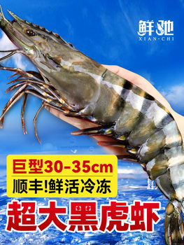Fresh Black Tiger Prawns, Large Tiger Prawns, Live Frozen Prawns, Extra-Large Quick-Frozen Seafood, Aquatic Products, New Year Prawns