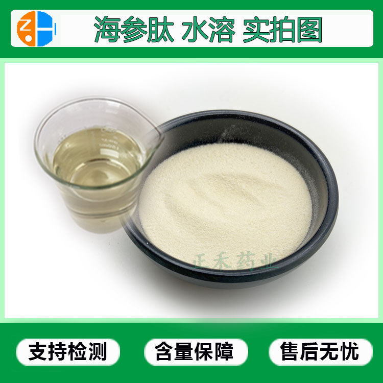 Sea Cucumber Peptide 98% Sea Cucumber Oligopeptide Sea Cucumber Peptide Powder Sea Cucumber Short Peptide 500Da Small Molecule Protein Peptide