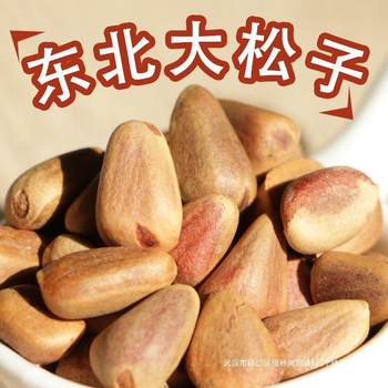 New pine nut kernel fresh bulk open large particles original wild grain raw pine nut squirrel northeast 500g