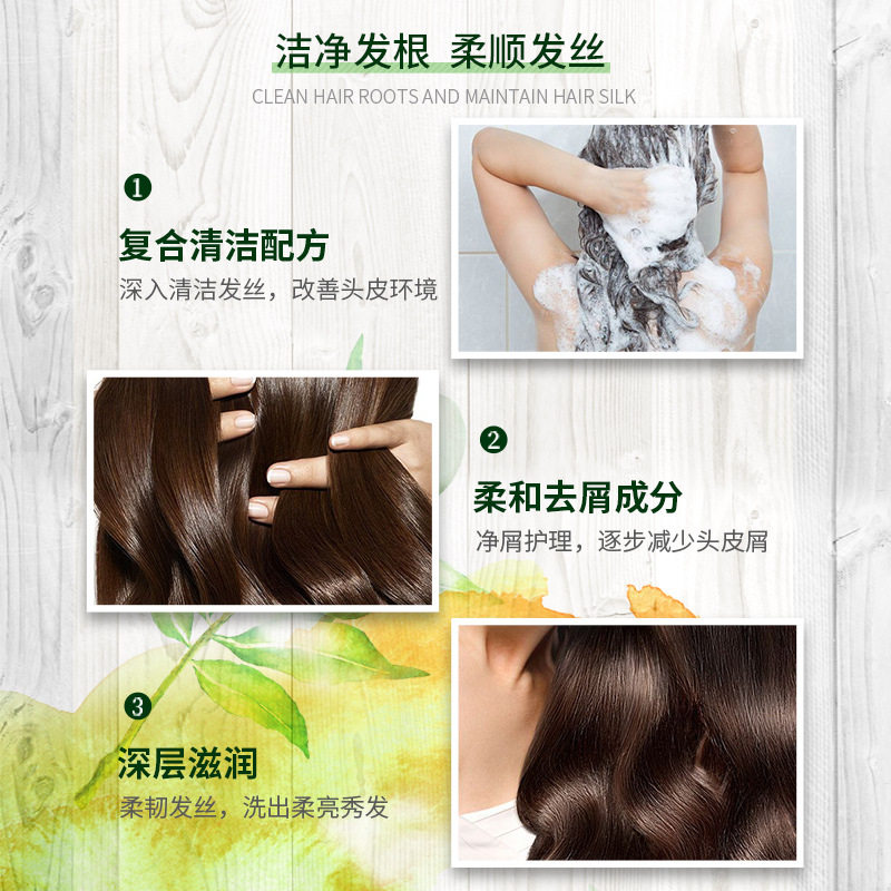 An'An Jin Pure Olive Oil Shampoo Anti-Dandruff Smooth Long-Lasting Fragrance Oil Control Fluffy Deep Nourishing Shampoo