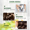 An'An Jin Pure Olive Oil Shampoo Anti-Dandruff Smooth Long-Lasting Fragrance Oil Control Fluffy Deep Nourishing Shampoo