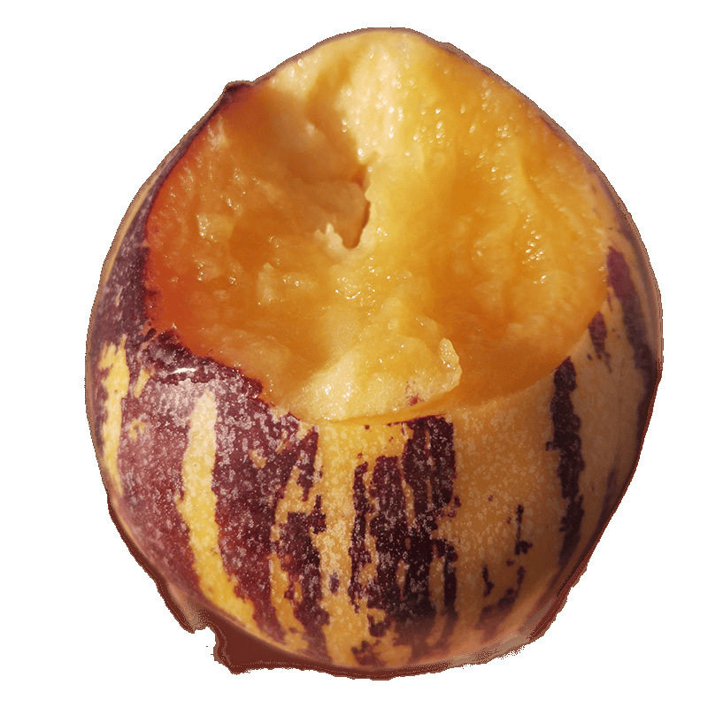 Fresh Seasonal Whole Box Wholesale of Yellow-Fleshed Large Fruits from Minqin, Gansu, Including Ginseng Fruit, with Free Shipping and Low Sugar Content