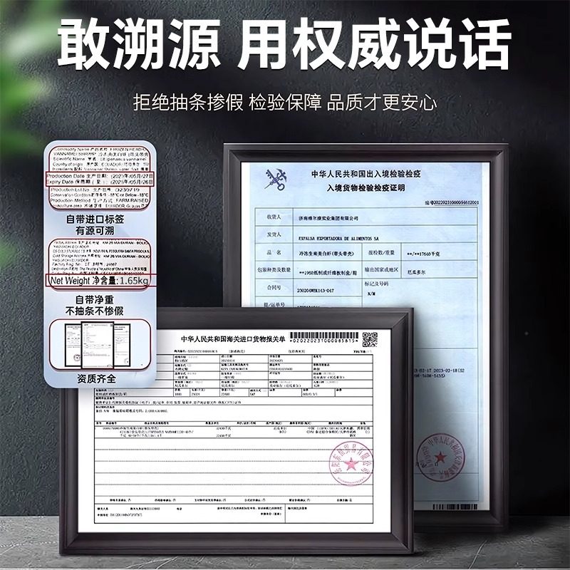 Ecuadorian White Shrimp, Large Shrimp, Fresh, Quick-Frozen, Salt-Frozen, 2030 South American White Shrimp, Prawns, Sea Shrimp, Prawns, Seafood