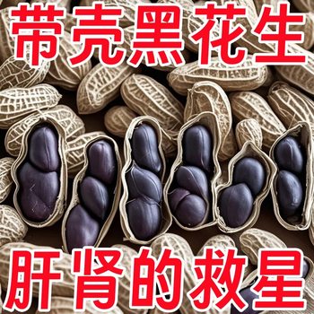 New Selenium-Rich Shelled Raw Black Peanuts, Fresh Black Purple-Skinned Peanuts, Farm-Dried Granules, Plump Black Peanuts That Can Be Planted
