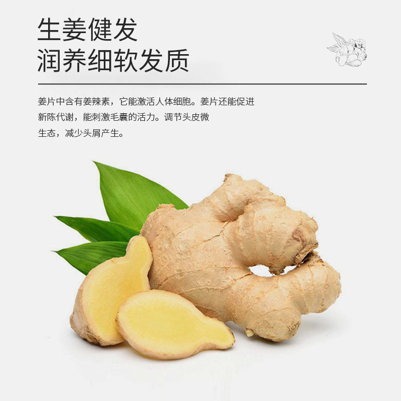 Cross-border Explosions Ginger Essence Oil Control Anti-dandruff Shampoo Anti-dandruff Soft Nourishing Hair Care Shampoo Wholesale