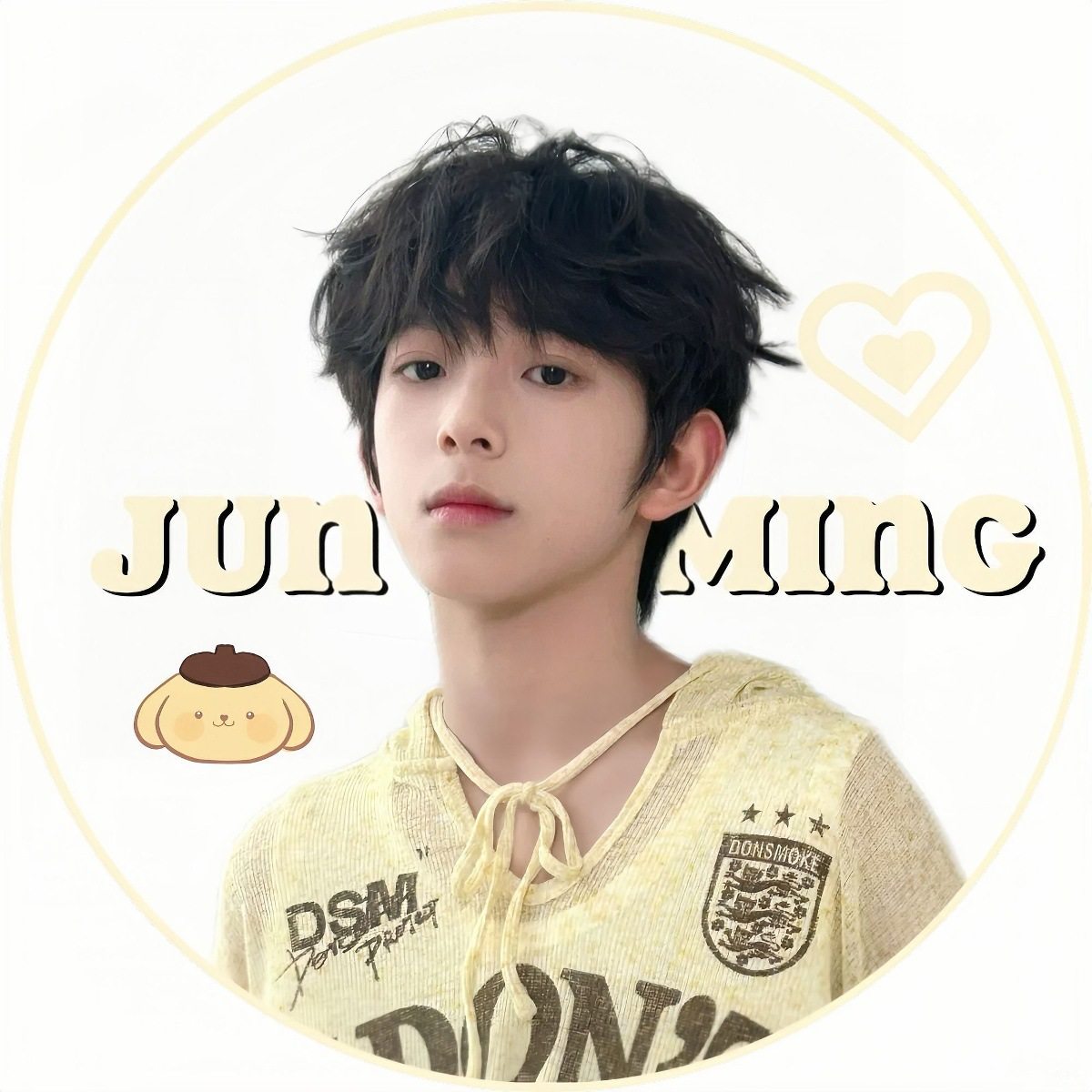 Tf Fourth Generation Chen Junming Fan Support Merchandise Badge Brooch Tinplate Decoration Pain Bag Material Friends