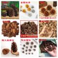 seller product image
