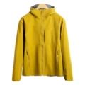 R24199-enchanting yellow