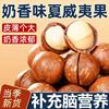 Wholesale Macadamia Nuts 500g Per Bag, Creamy, Large Fruit, Thin-Skinned Snacks, Dried Fruit Specialties