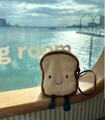 Toast crossbody bag