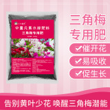 Triangle plum, опрыскиватель цветочных почек и веток, способствует цветению благодаря среднему содержанию элементов, добавкам кальция и магния, яркому цвету, продлевает период цветения и удобрению с высоким содержанием калия.