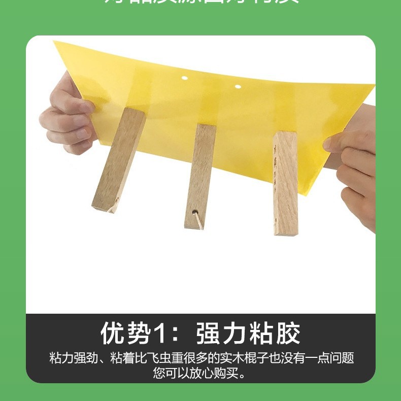 Small yellow board sticky insect board generation support full platform ciphertext