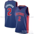 Pistons 2 Blue