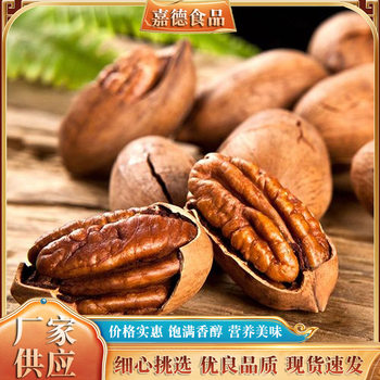 Pecan New Arrival Thin-Skinned Pecan Milk-Flavored Longevity Fruit Nuts Roasted Seeds and Nuts Wholesale Pecans