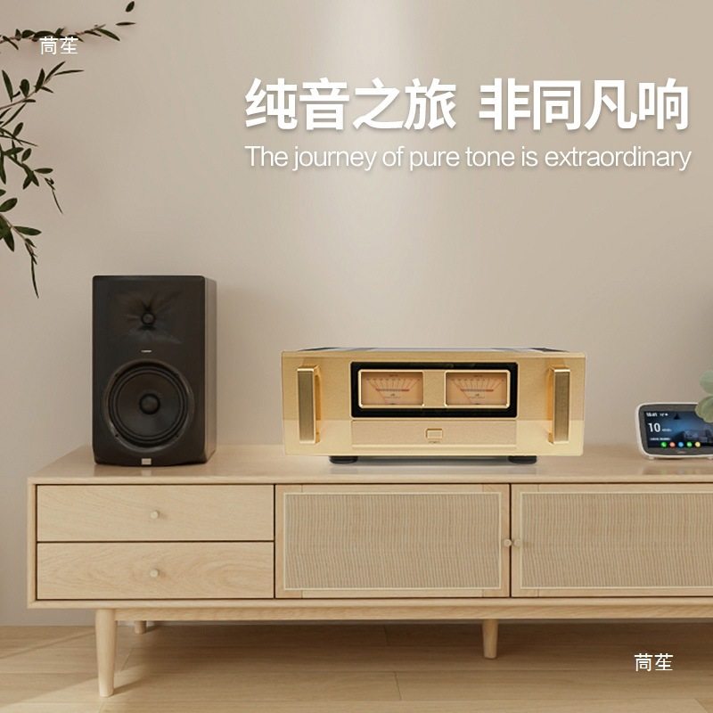 Reference Golden Throat E405 Class a and B 300W High-Power Amplifier Home Hifi Fever-Grade Rear Amplifier