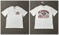 3137 white red